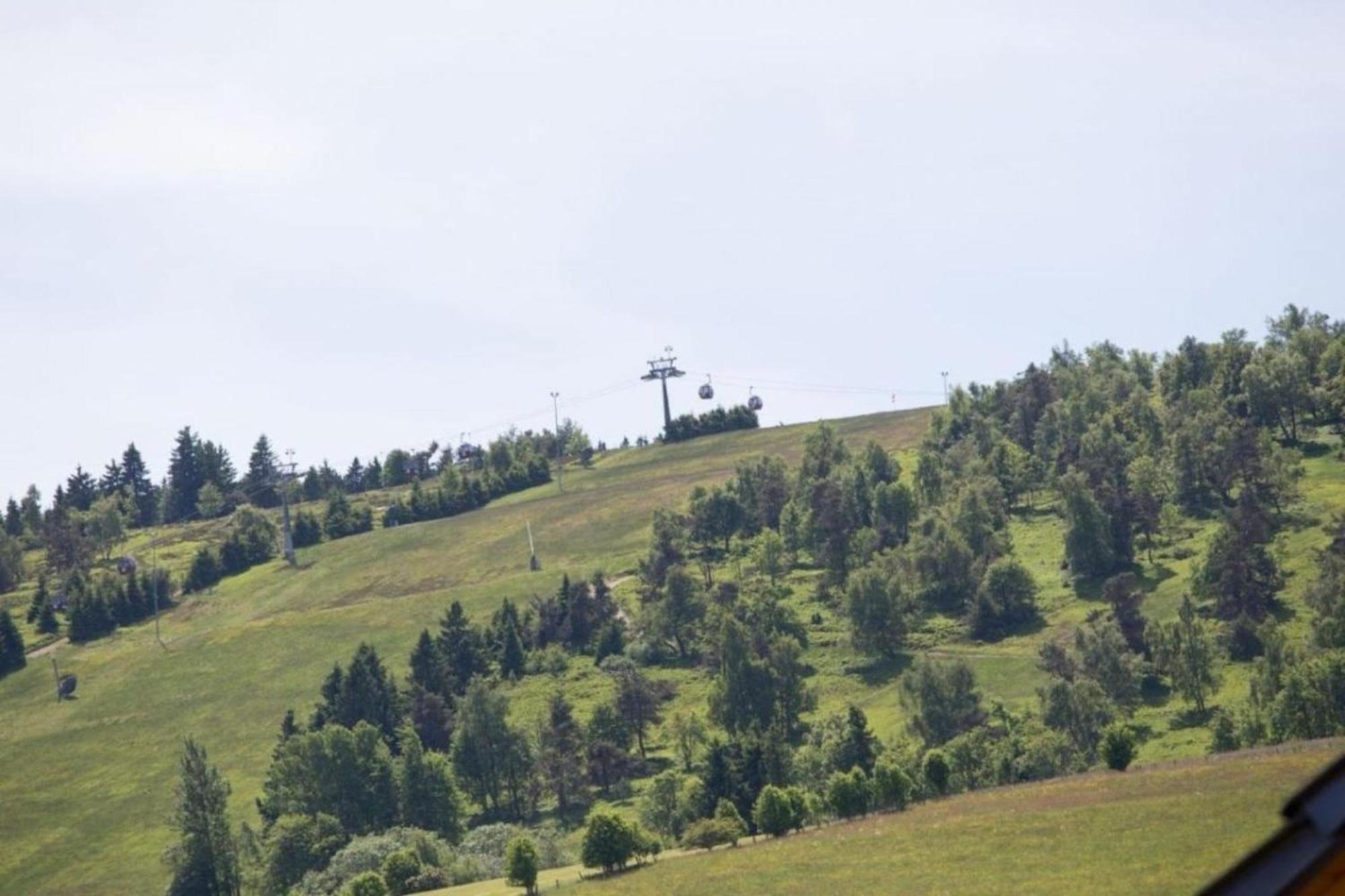 Ferienhaus Easy Holiday Am Ritzhagen Ehem Heinrichs Willingen  Zewnętrze zdjęcie