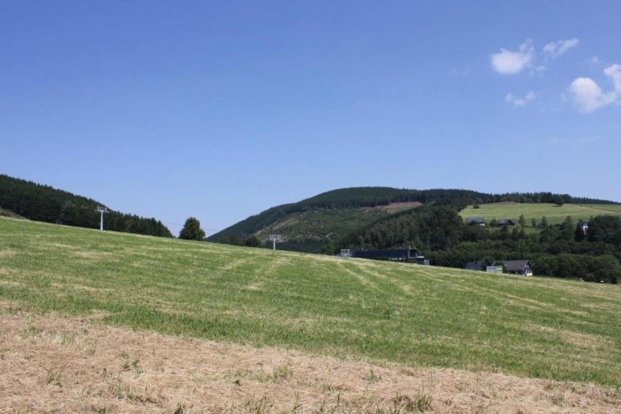 Ferienhaus Easy Holiday Am Ritzhagen Ehem Heinrichs Willingen  Zewnętrze zdjęcie